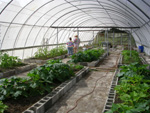 Paririe's Edge Greenhouses